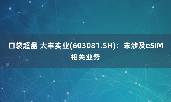 口袋超盘 大丰实业(603081.SH)：未涉及eSIM相关业务