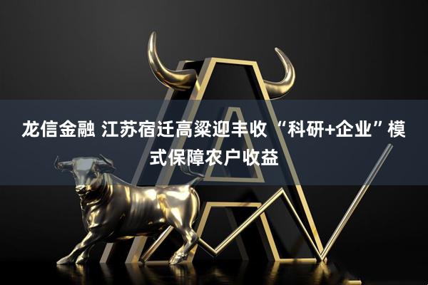 龙信金融 江苏宿迁高粱迎丰收 “科研+企业”模式保障农户收益