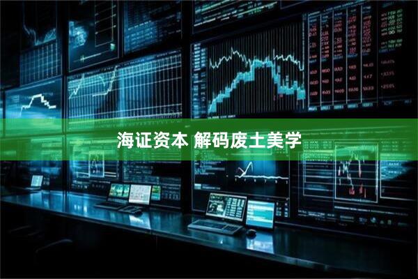 海证资本 解码废土美学