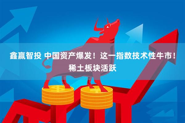 鑫赢智投 中国资产爆发！这一指数技术性牛市！稀土板块活跃