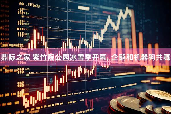 鼎际之家 紫竹院公园冰雪季开幕, 企鹅和机器狗共舞