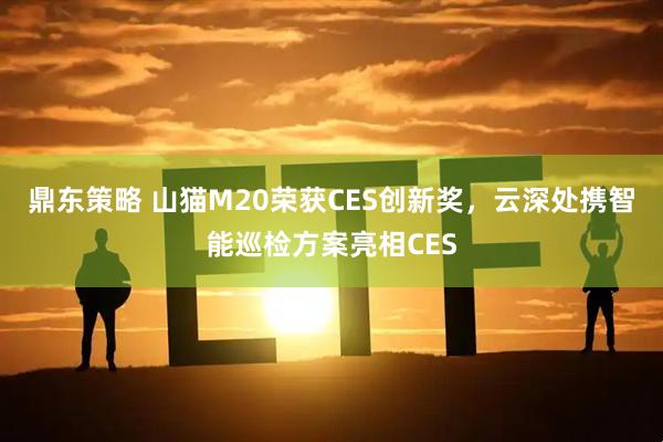 鼎东策略 山猫M20荣获CES创新奖，云深处携智能巡检方案亮相CES