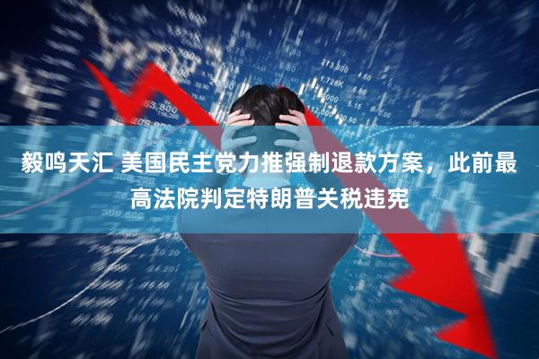 毅鸣天汇 美国民主党力推强制退款方案，此前最高法院判定特朗普关税违宪